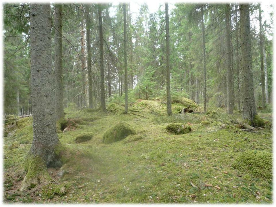 Sandvik Gard Spa & Konferens Aby  Exterior photo